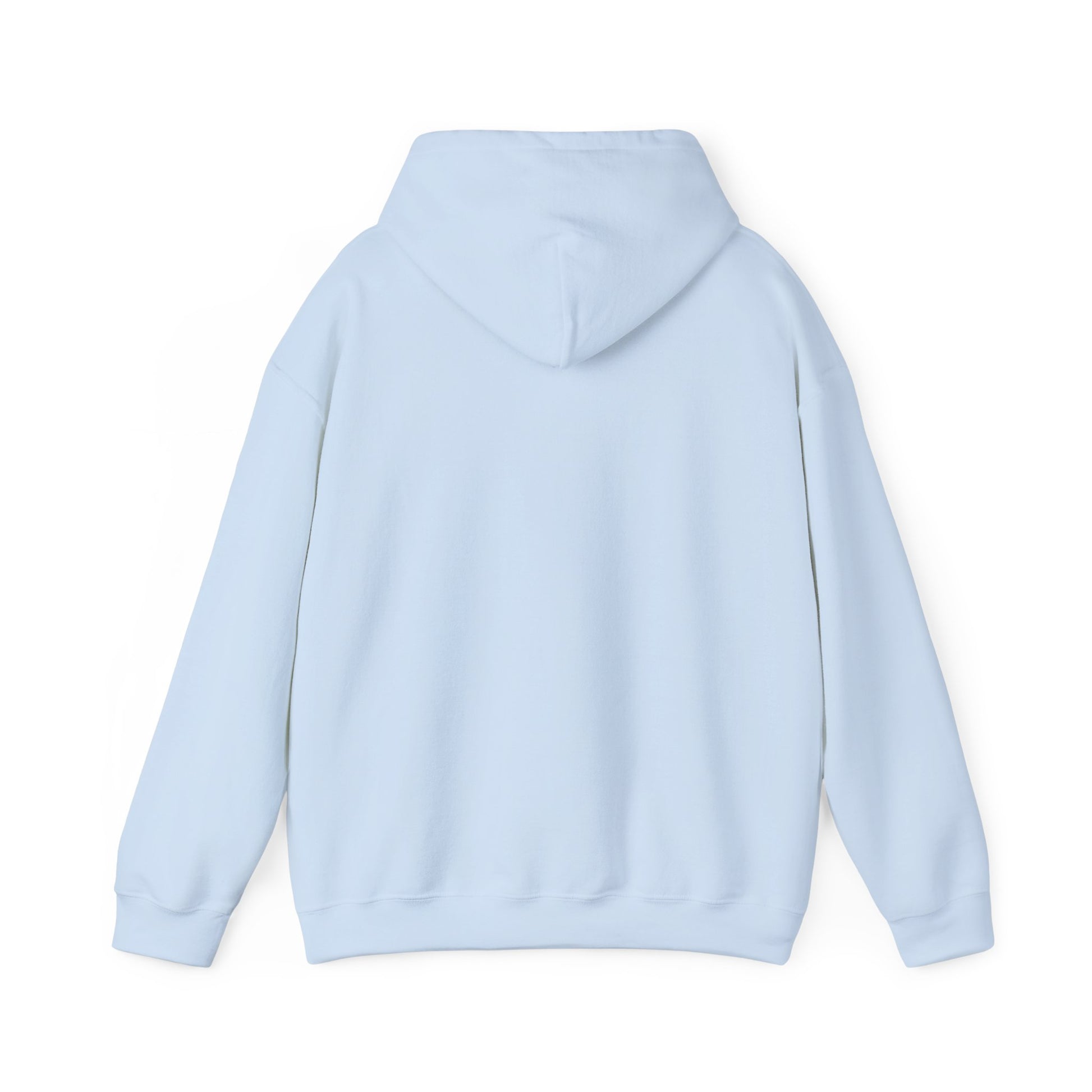 Colorful Butterfly Inspirational Hoodie | Jesus and Spirit Sweatshirt