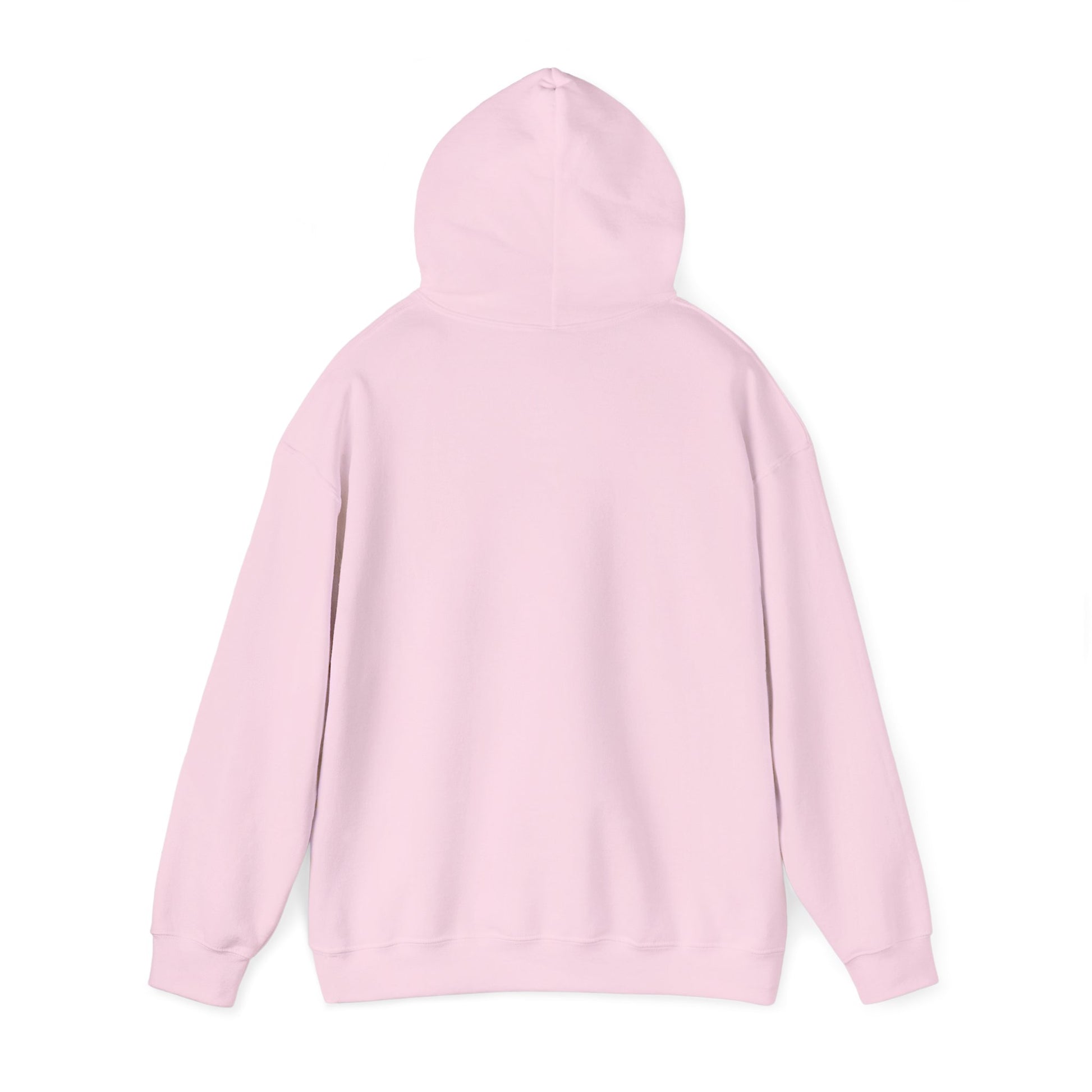 Colorful Butterfly Inspirational Hoodie | Jesus and Spirit Sweatshirt