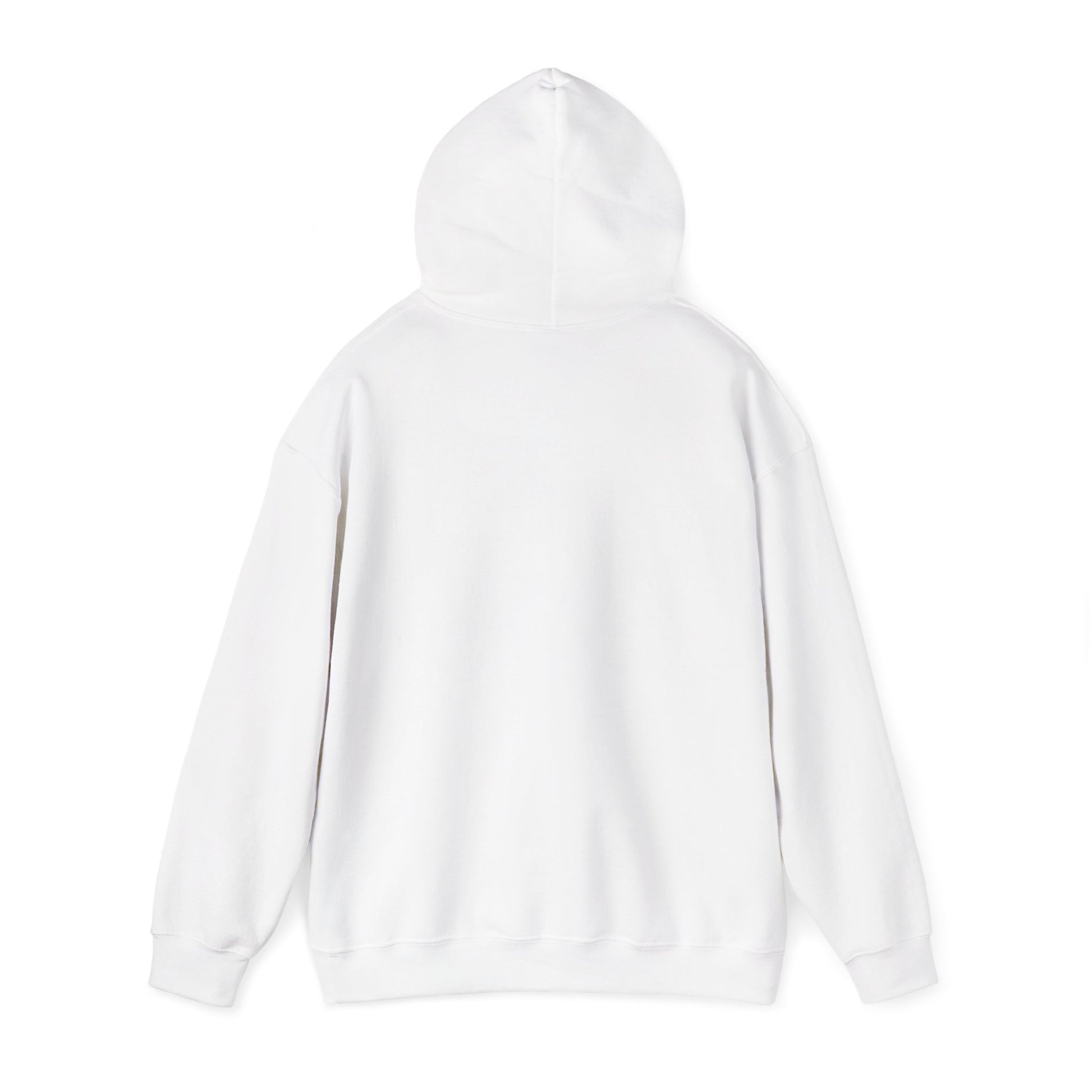 Colorful Butterfly Inspirational Hoodie | Jesus and Spirit Sweatshirt